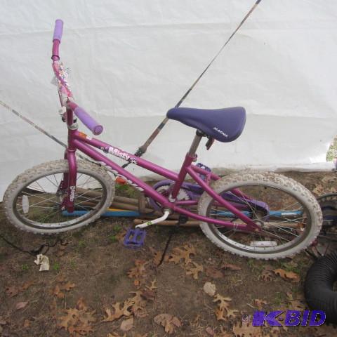 lot 312 image: Girls Bike