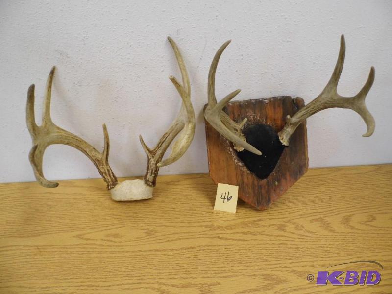 lot 46 image: 2 Sets of Deer Antlers