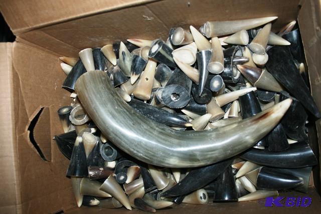 Cow horn pieces...