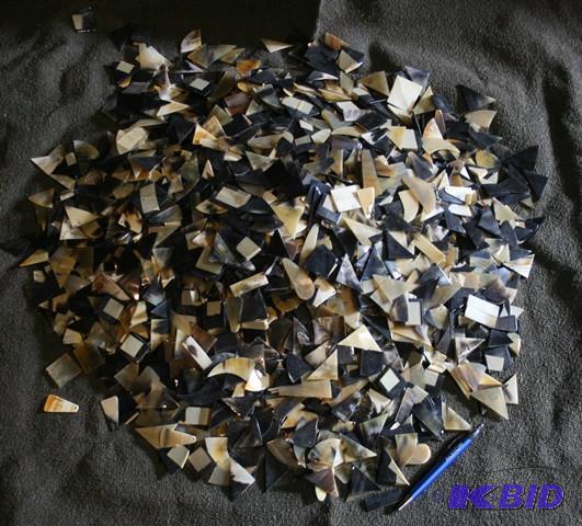 Natural polished cow horn in differ...