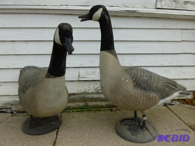 Lot of two large Real Feet - Giant ...