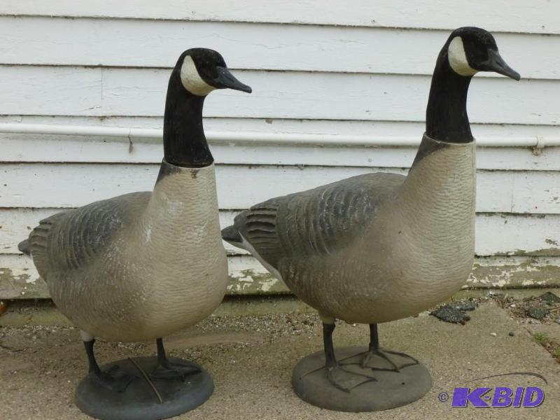 Lot of two large Real Feet - Giant ...