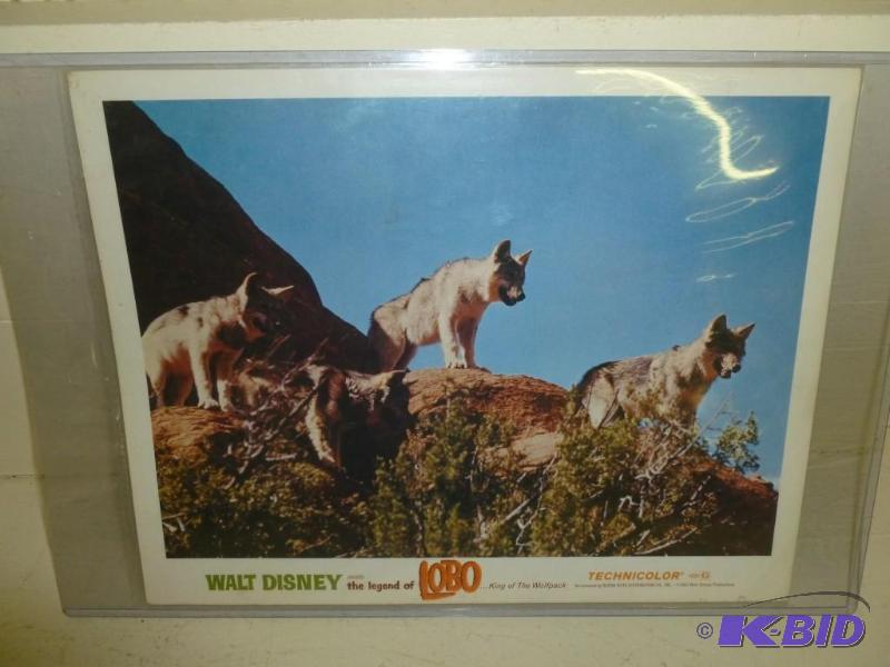 Vintage 1962 Walt Disney &quot The...
