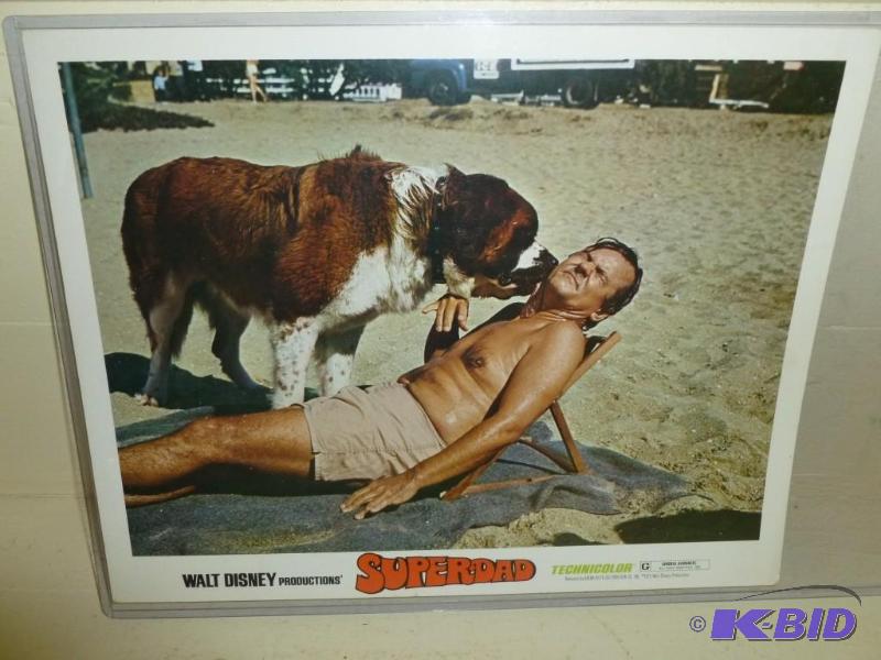 Vintage 1973 Walt Disney &quot Sup...