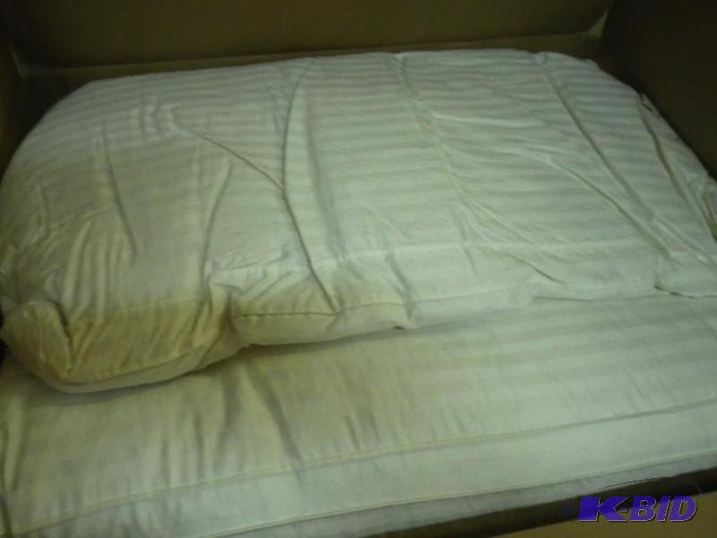 2 feather pillows...