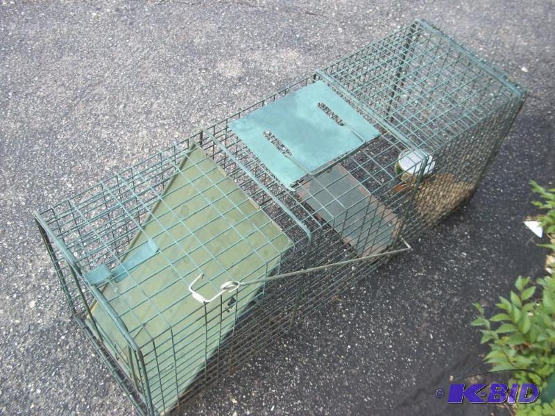 Large Live Trap...