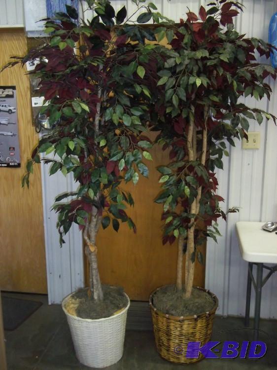 Artificial Decor Trees...
