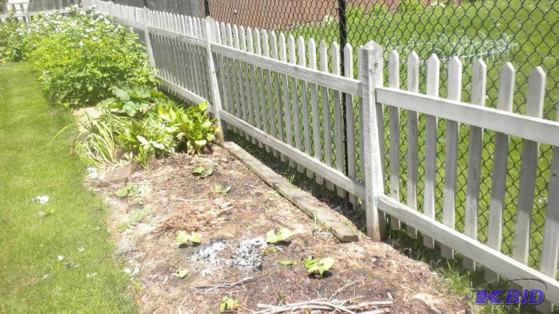 Picket Fence Panels