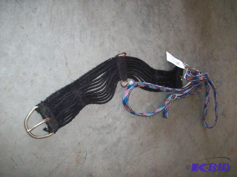 lot 48 image: Reigns and cinch item 48...
