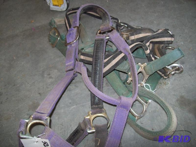 lot 50 image: Horse halters -(3) full size item 5...