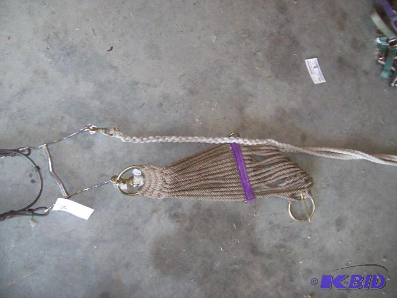 lot 52 image: Bridal wleads and cinch item 52...