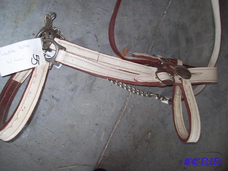 lot 55 image: Leather halter wlead item 55...