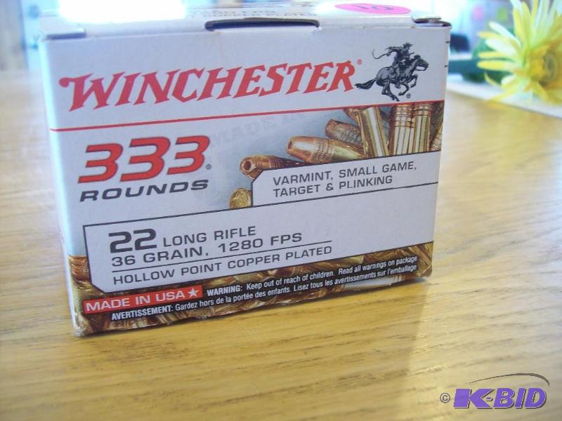 Winchester 22 Long Rifle -Hollow po...
