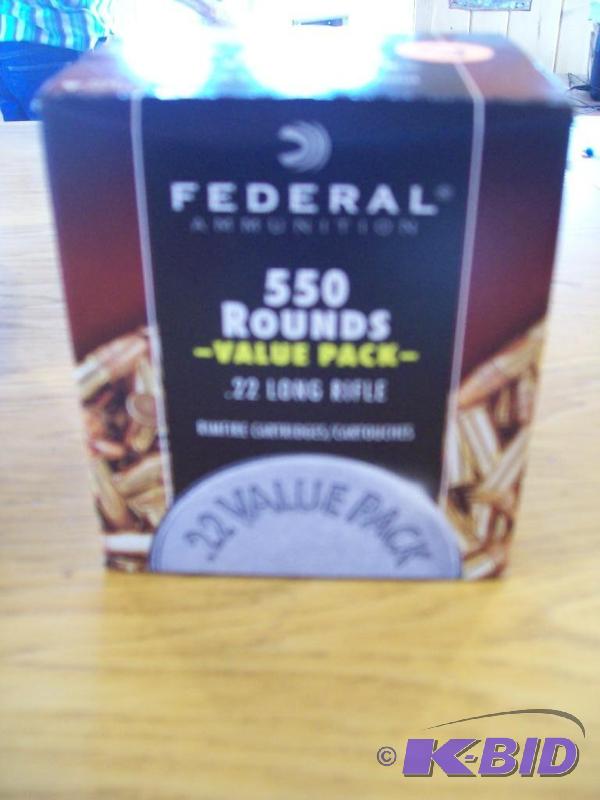 Federal 22 Long Rifle -Hollow point...