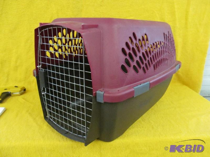 Pet