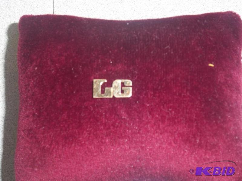 14 Karat Gold LG Pin