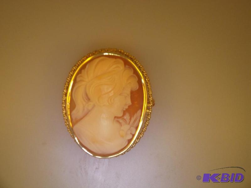 14 Karat Gold Cameo PinPendant