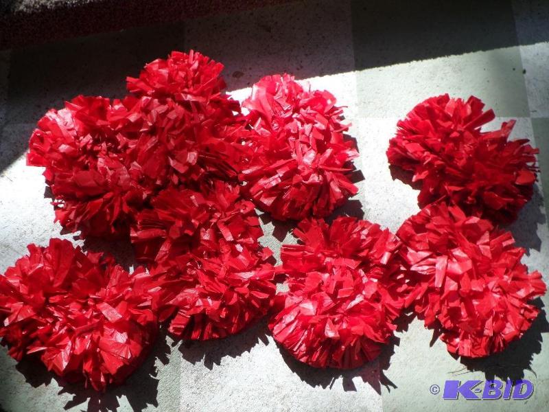 6inch small red mini poms, great fo...