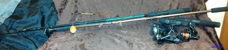 lot 12 image: Lot of fishing rods, regular and Ic...