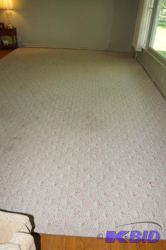 lot 1 image: Extra Large 116 x 186 Rug with Pad