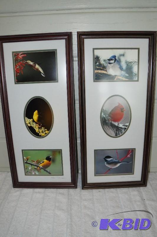 lot 255 image: 2 Framed Prints of Birds