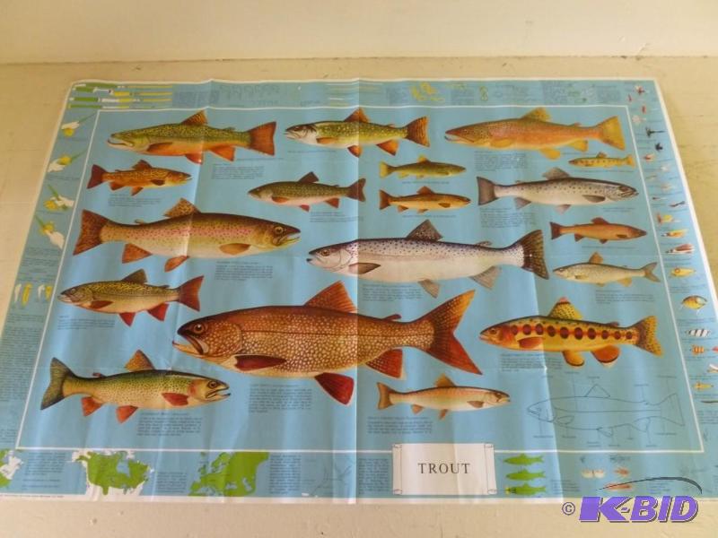 lot 195 image: Large informational trout poster th...