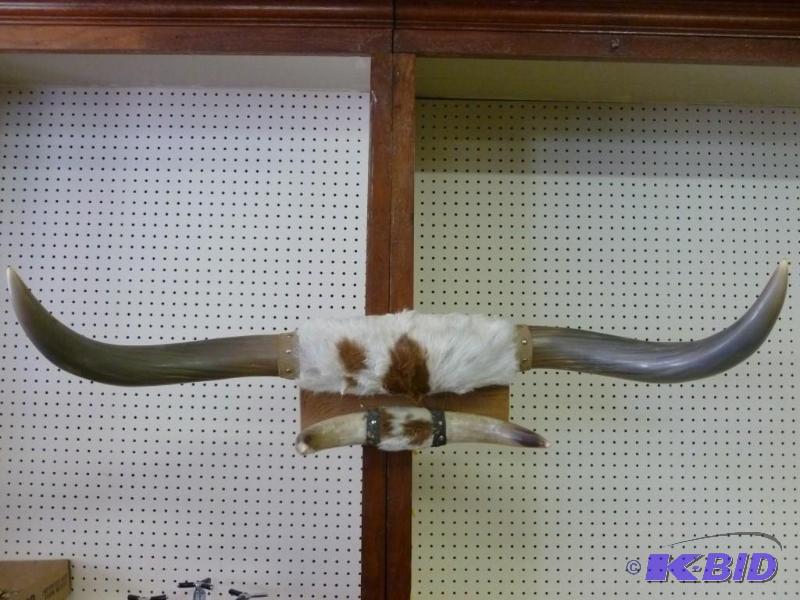 lot 5 image: large pair of board mounted double ...