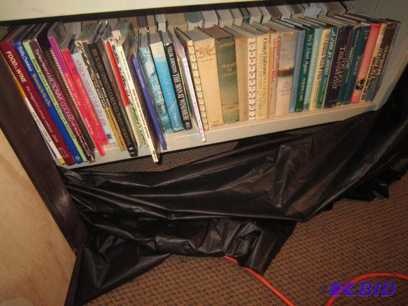 Shelf Full of Books