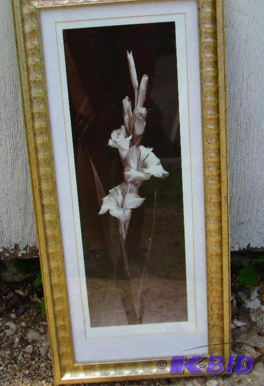 Flower print in matted frame, 10 x 22 inch...