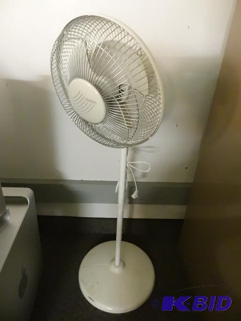lasko pedestal...