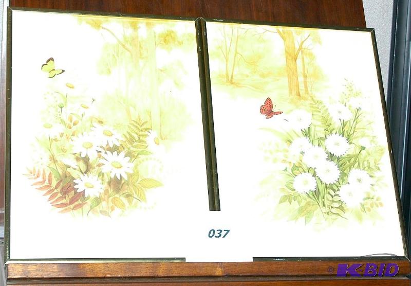 Framed Prints