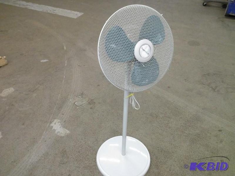 Fan