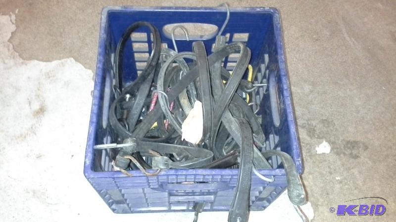 Bungee cords