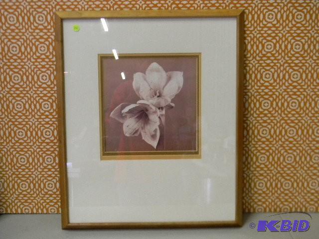 lot 242 image: Beautiful framed flower picture...