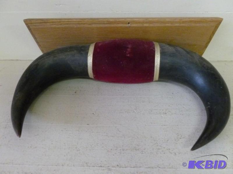 lot 93 image: A pair of board mounted bull horns that measu...