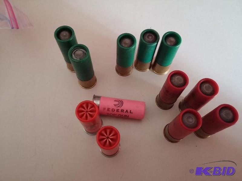 BAG OF TWELVE, 12 GAUGE SHELLS, SLUGS AND SOM...