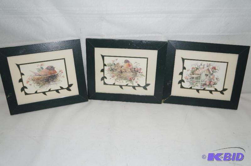 Three Framed Bird Prints