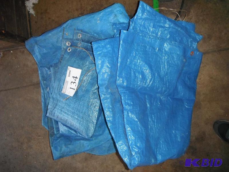lot 134 image: 5 Blue Tarps plus Cover...
