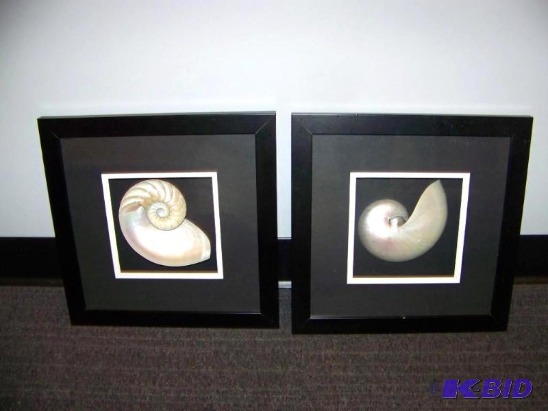 lot 21 image: (Set of 2) Shell Art from Australia