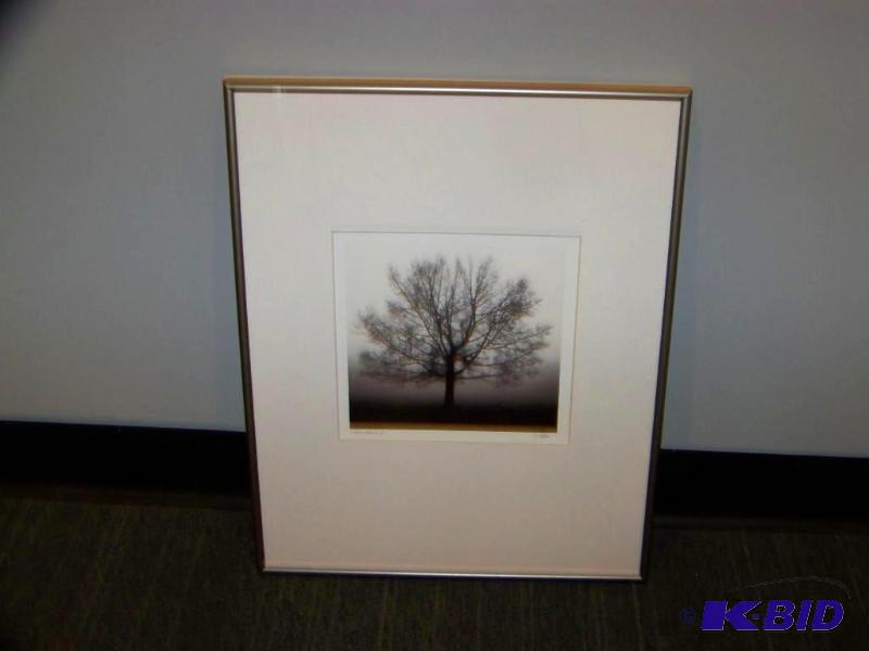 lot 9 image: Awakening photo by Catro