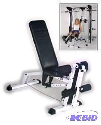 lot 11 image: Pro Sports Leg lift