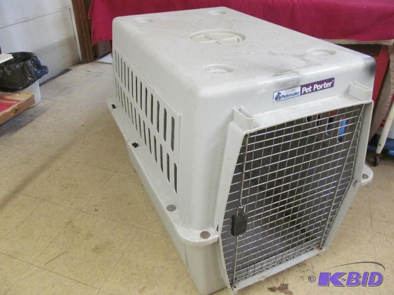 Pet