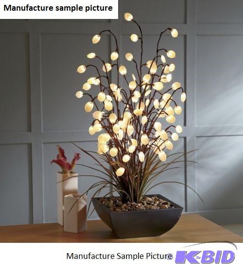 Table Plant - Although commonly referred to a...