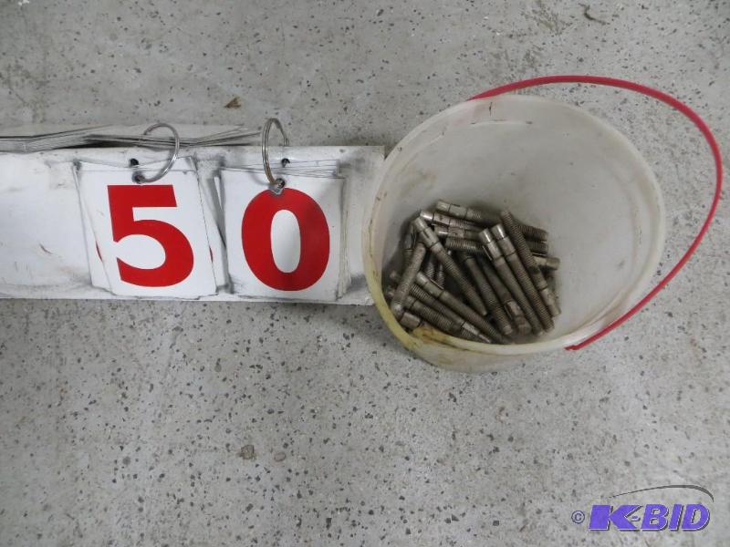 lot 50 image: Pail of Cement Anchors....