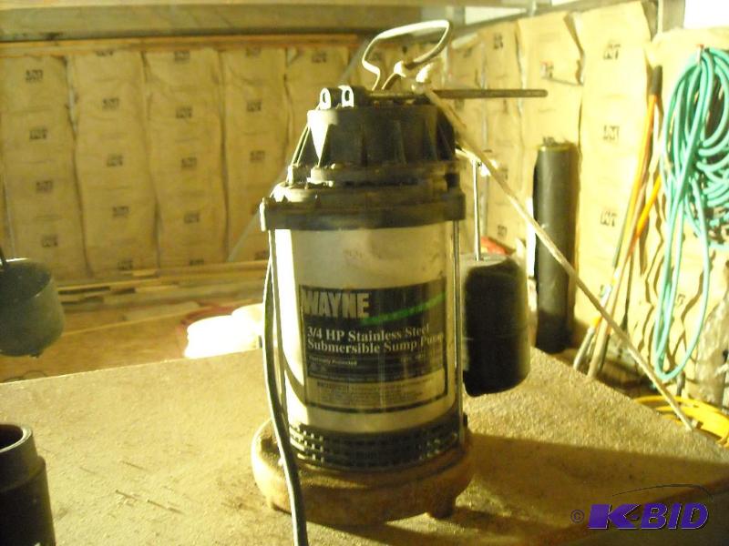 lot 286 image: Wayne sump pump