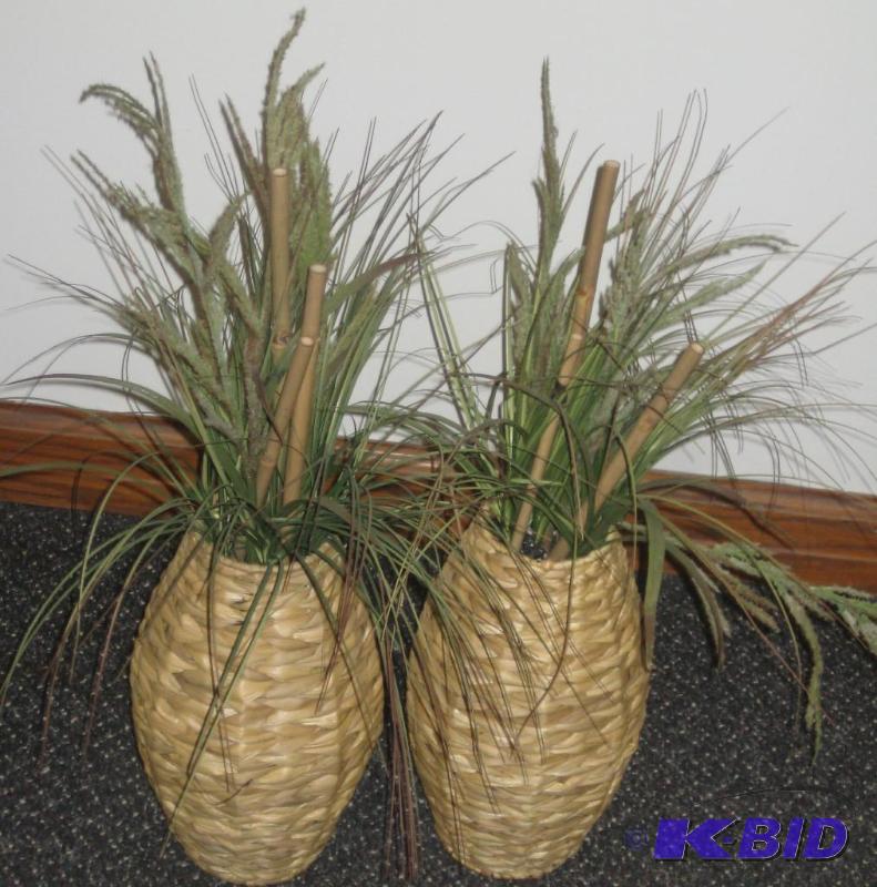 Small Office Plants