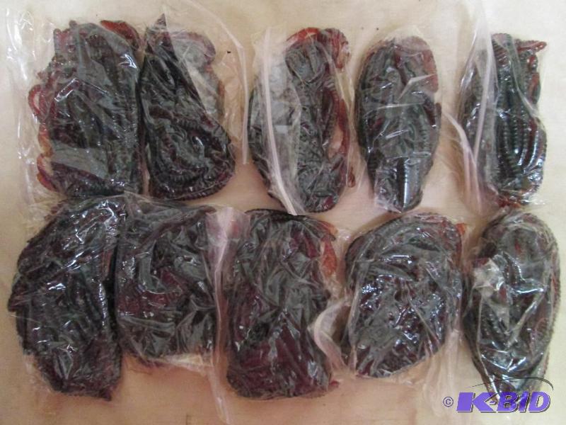 lot 147 image: Lot of 10 bags of 6 jig worms. Motor oil in c...