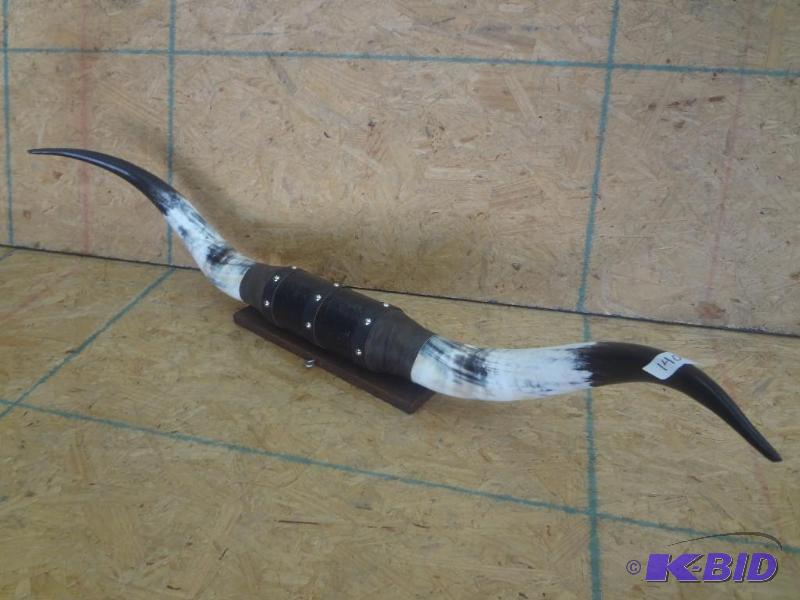 47&quot Longhorn Steer Mount...