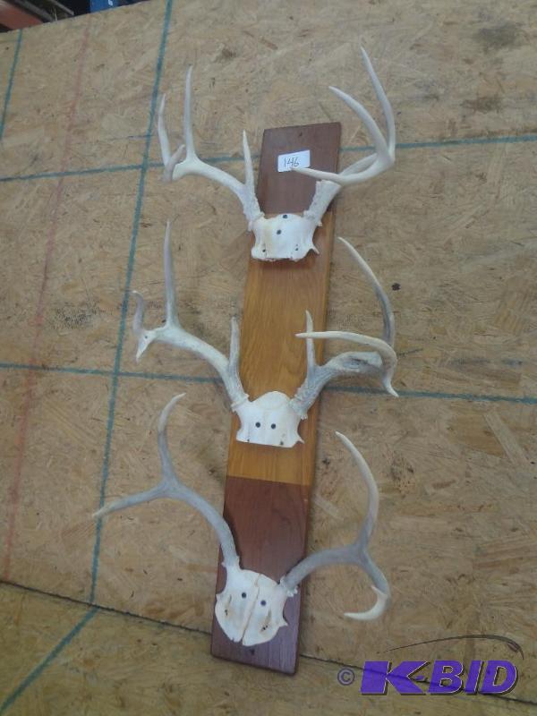 3-Piece Whitetail Mount...