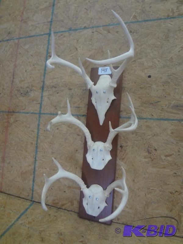 3-Piece Whitetail Mount...
